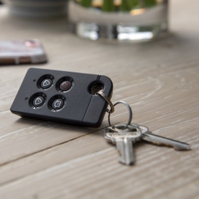 Buffalo security key fob